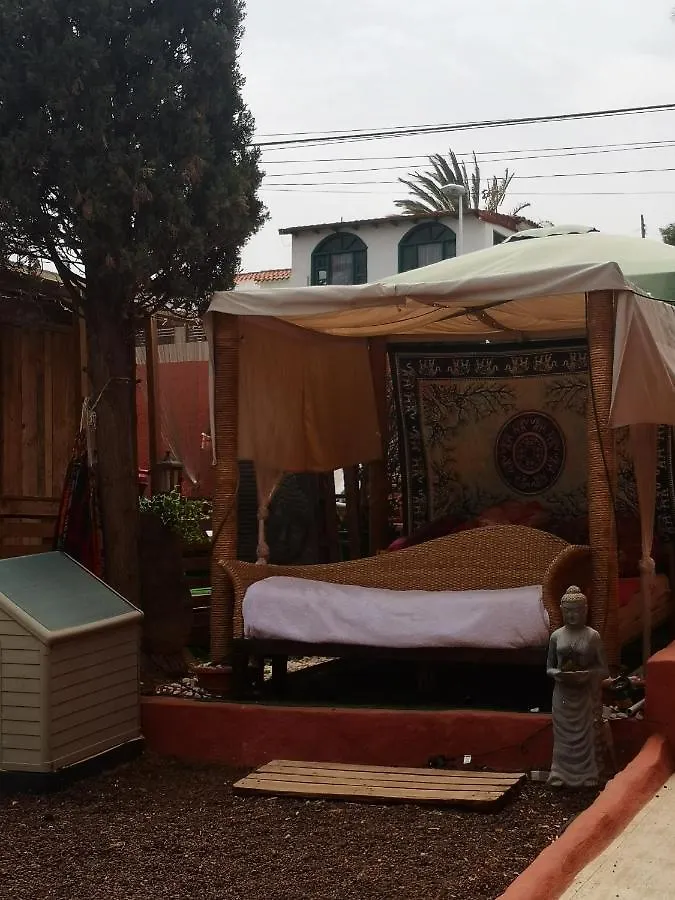 Flor De Loto Romantic Woodhouse Casita Camping Aguatona Campsite
